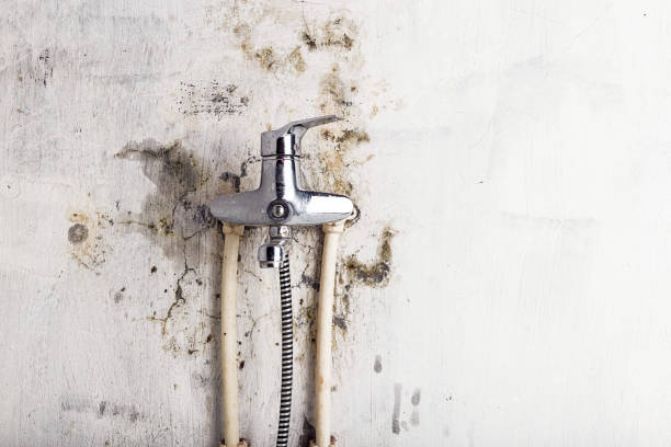 Water Damage Restoration in Grove City, OH