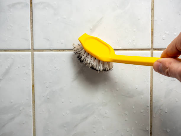 Best Mold Testing  in Grove City, OH