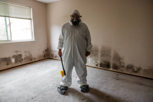 Best Commercial Mold Removal  in Grove City, OH